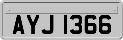 AYJ1366