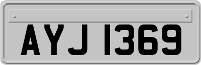 AYJ1369