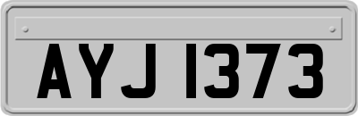 AYJ1373