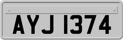 AYJ1374