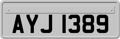 AYJ1389