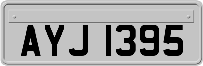 AYJ1395