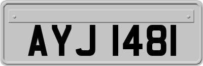 AYJ1481