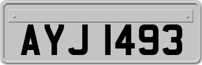 AYJ1493