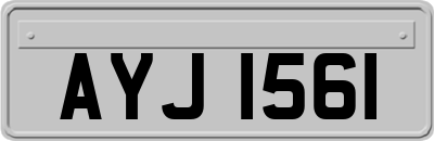 AYJ1561