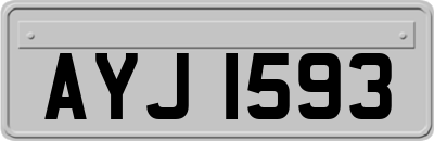 AYJ1593