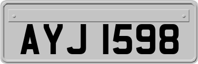 AYJ1598