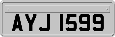 AYJ1599
