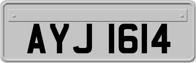 AYJ1614