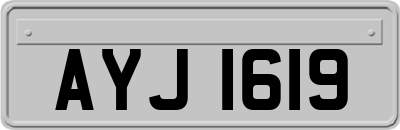 AYJ1619
