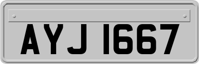AYJ1667