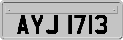 AYJ1713