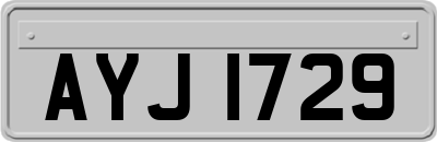 AYJ1729