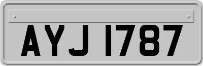 AYJ1787