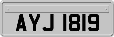 AYJ1819