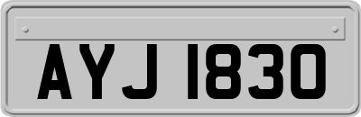 AYJ1830