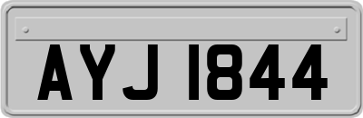 AYJ1844