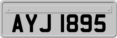 AYJ1895
