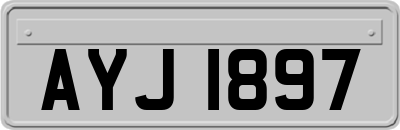 AYJ1897