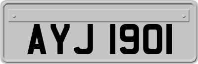 AYJ1901