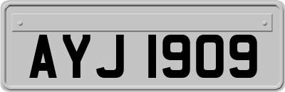 AYJ1909