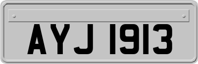 AYJ1913