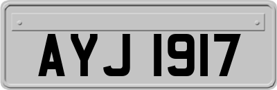 AYJ1917