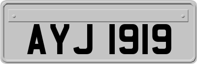 AYJ1919