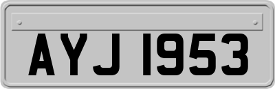 AYJ1953