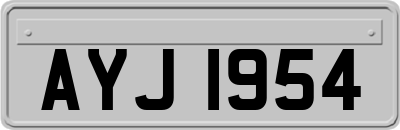AYJ1954