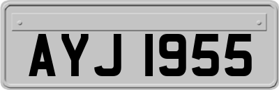 AYJ1955
