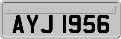 AYJ1956