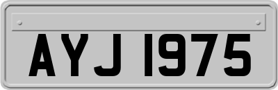 AYJ1975