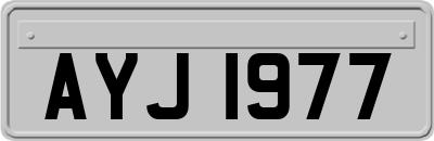 AYJ1977