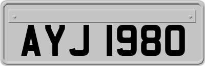 AYJ1980