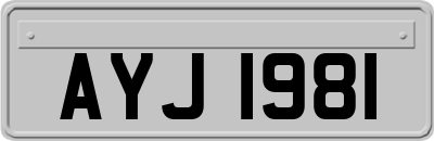 AYJ1981
