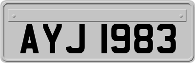 AYJ1983