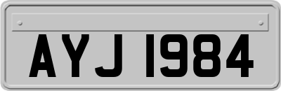 AYJ1984