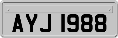 AYJ1988