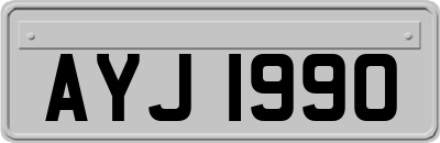 AYJ1990
