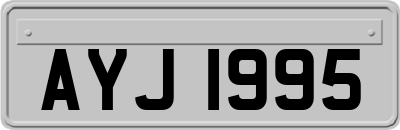AYJ1995
