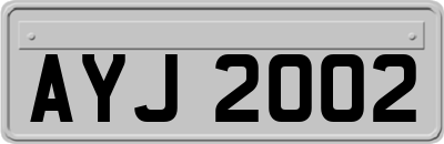 AYJ2002