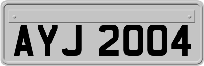 AYJ2004