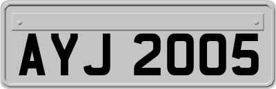 AYJ2005
