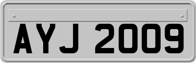 AYJ2009