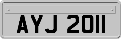 AYJ2011