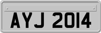 AYJ2014
