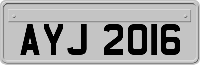 AYJ2016