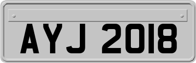 AYJ2018