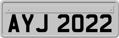 AYJ2022